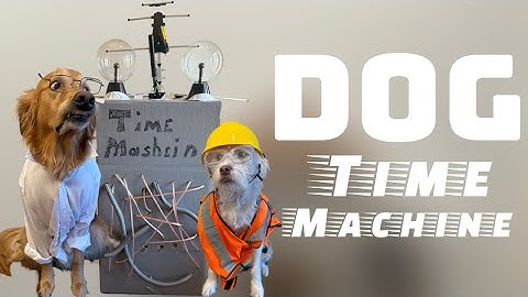 My dog built a Time Machine!