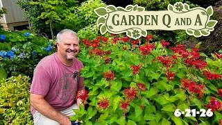 Garden Q&A: Rain at Last, Plant Spacing & Moving Shrubs