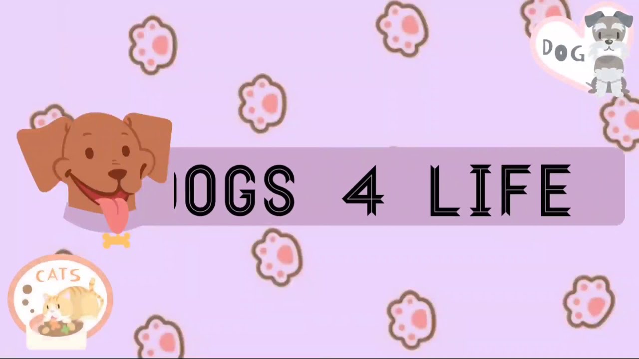 Dogs channel intro video YouTube intro video YouTube