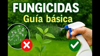 Guía básica de fungicidas