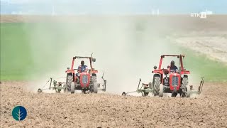 Toka - Sivjet më tepër të mbjella me misër e më pak me grurë 22.05.2024