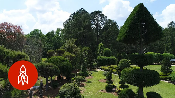 The Garden Masterpiece Grown From Rescued Plants