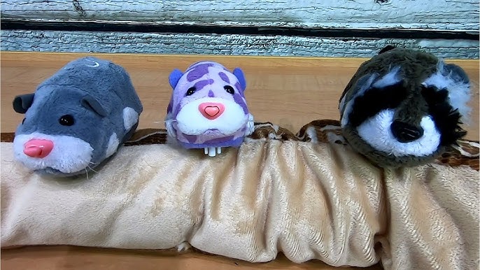 First look: Zhu Zhu Pets are back