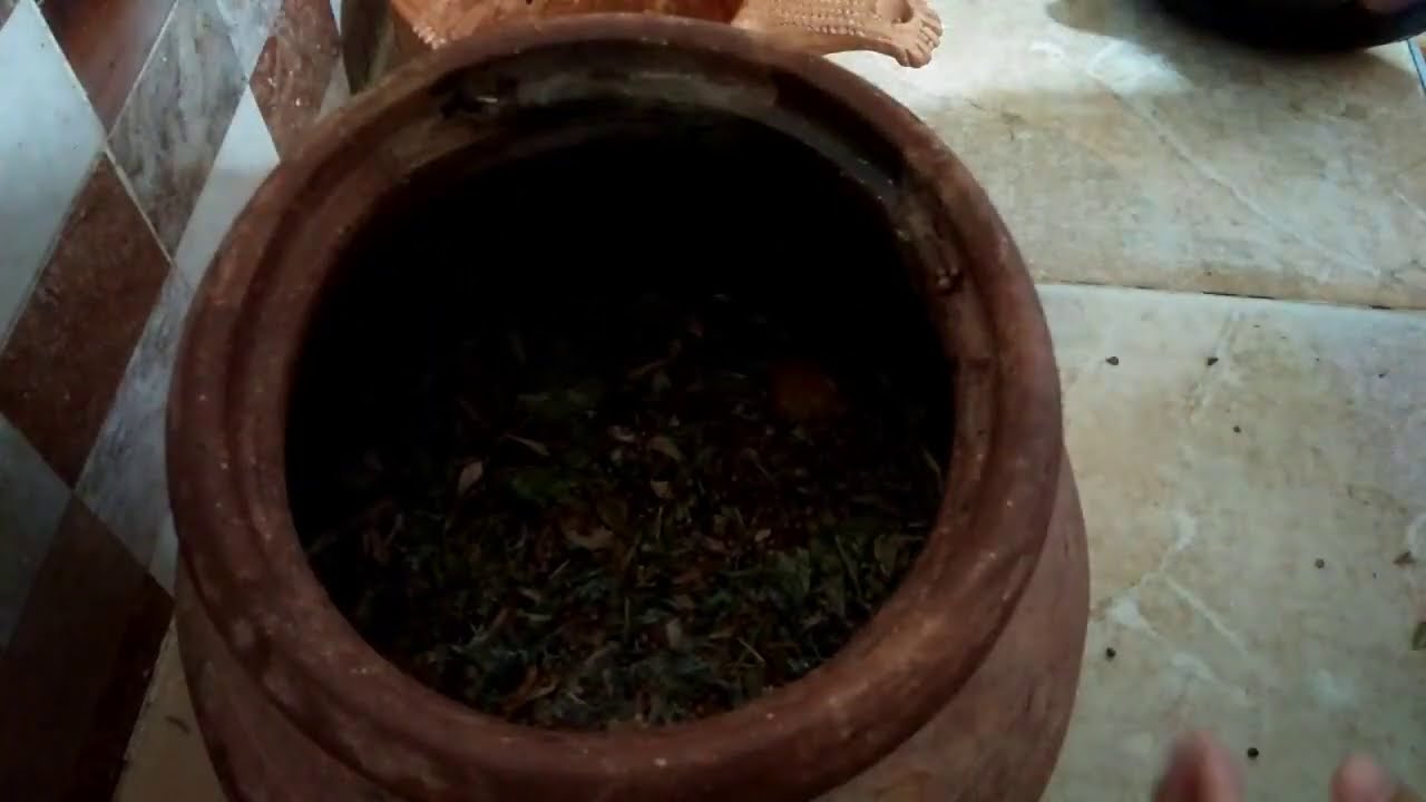 الخل الصحراوي مفيد في عيد الاضحى المبارك سريع الهضم وينظف الامعاء