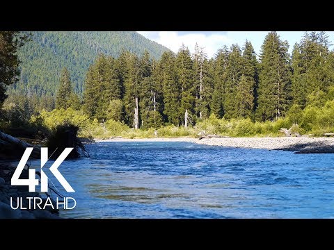 (10 Hours) Hoh River Soundscape - Water Sound - 4K UHD Summer Footage