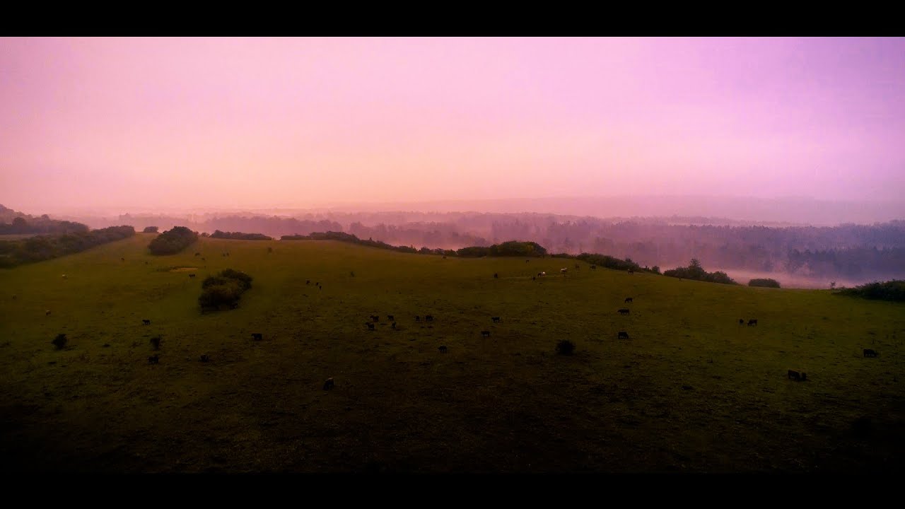 Thüringeti Auktion 2024 Aftermovie