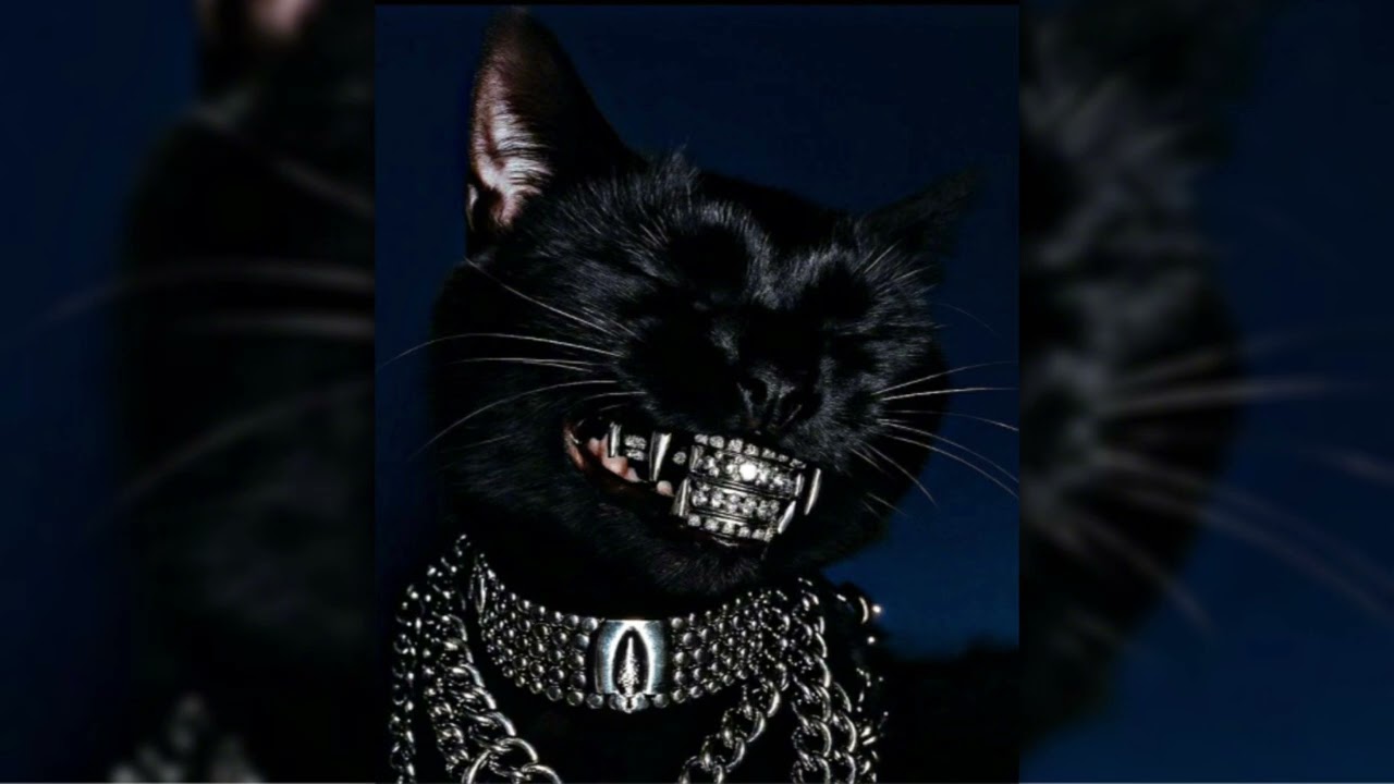 [FREE] Hard 808 Drill X Trap type beat | prod by aidenbeatzz 