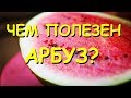 Чем полезен арбуз?