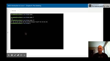 NDG Intro to Linux I - Ch 6: File Globbing