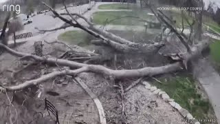 Fers Avoid Falling Tree During High Winds At Hocking Hills F Course