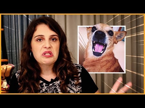 Vídeo: O Que Há Com Pessoas Que Não Gostam De Animais De Estimação?