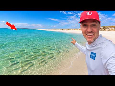 I Found a Florida Beach Loaded with Fish!