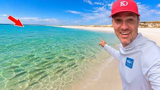 I Found A Florida Beach Loaded With Fish!