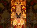 🙏✨Govinda Govinda Govinda _ Venkateshwara Swamy ✨🙏 #tirupati #tirumala #youtube #shorts #1million
