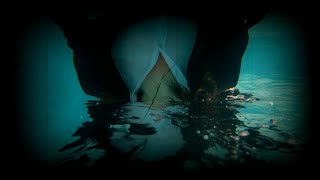 Ken Stringfellow - Trust (Official Music Video)