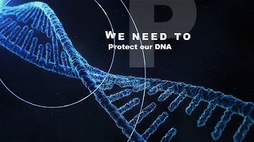 Blushield EMF Technology