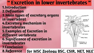 Excretion in Lower invertebrates | Types of excretory organs | Excretory mechanism | Examples