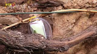 RTF.1-Nachrichten: Literarische Ostereiersuche am H&ouml;lderlinturm (06.04.2026)