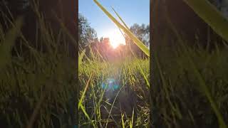 Koppany07 Feat Absolon - A Természet Szépsége Ág