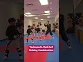 Taekwondo Kicking Combination (Red belt) #태권도 #mastertaekwondo #greatneck