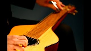 All steel guitar tricks in one song "Kolohe" (The Rascal) by Fernando Perez