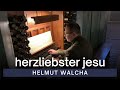 Capture de la vidéo Helmut Walcha - Herzliebster Jesu | Vu St. John's Church