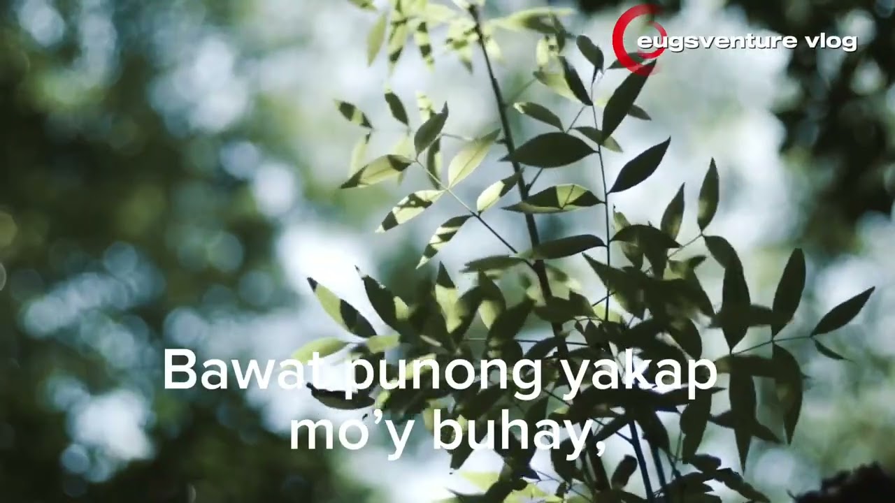 Bantay ng Amihan ( Awit para sa Sierra Madre)