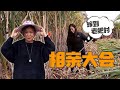 【ENG SUB】南瓜妹砍甘蔗连根拔起，青妹妹直呼神力，还让她嫁到老肥村【青妹妹与小胖】