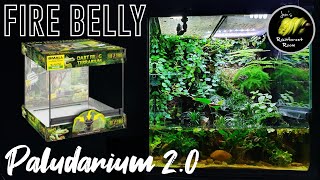 I'm Re Creating My Fire Belly Toad Tank Setup