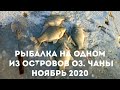 Рыбалка на одном из островов оз. Чаны. Ноябрь 2020.