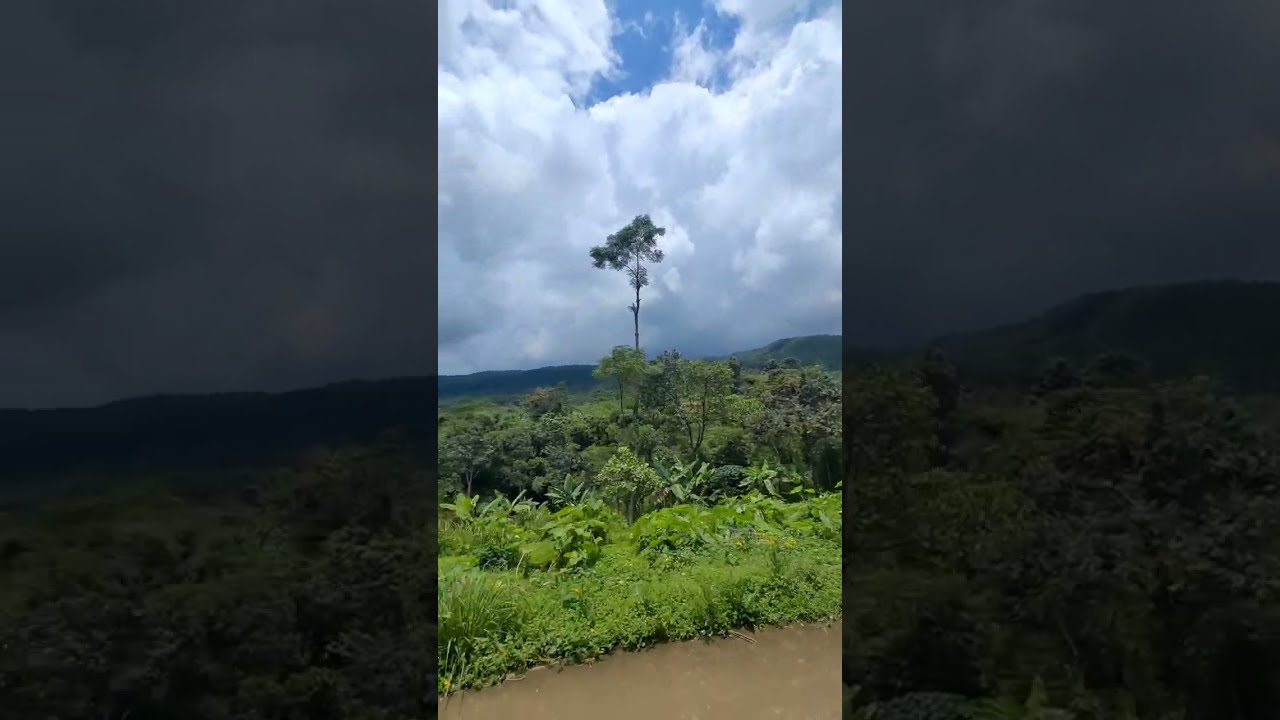 Jalan Lintas Mojotengah Ke Arah Cablikan  Kec Reban  Kabupaten Batang Jawa Tengah