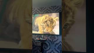 Zoboomafoo Chris And Martin