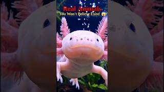 Real Life Aliens? Meet These Bizarre Creatures! 💀#shorts #evolution #alien #mysteriouscreatures