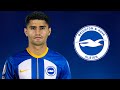 Mahmoud dahoud  welcome to brighton best skills  passes  2023