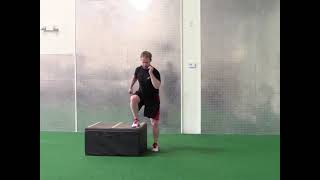Lateral Box Step Up Jump