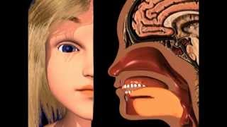 Maya Lip Sync Test "welcome" --- in normal and 50% speeds