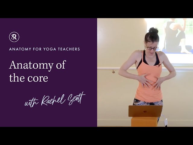 Anatomy for Yoga Teachers: Anatomy of the Core - YouTube