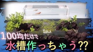 「100均だけで水槽作っちゃう？？」観賞と浄化の水槽「Bomitaso☆コラボ企画！」