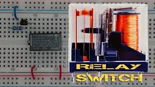 My Kids Made A Simple Transistor Relay Switch Circuit