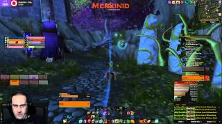 Feral Druid - Wg Flag Runin
