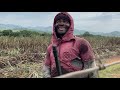 Surprising Farmworkers With Free Lunch, Acts of Kindness