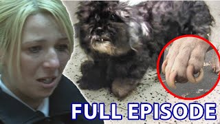 Starved & Neglected Dogs Get Rescued From Hellish Conditions | The Dog Rescuers - Season 2 Episode 1