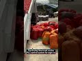 #industrial #chili #dried #beltdryer #drying #wood #hotblaststove #dryer #pepper