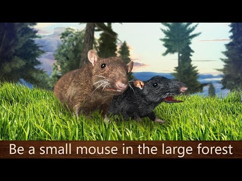 🐭Forest Mouse Simulator Raise a Family- By Virtual Animals World-Android