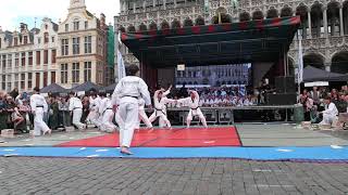 Folklorissimo 2017 Taekwondo Performance