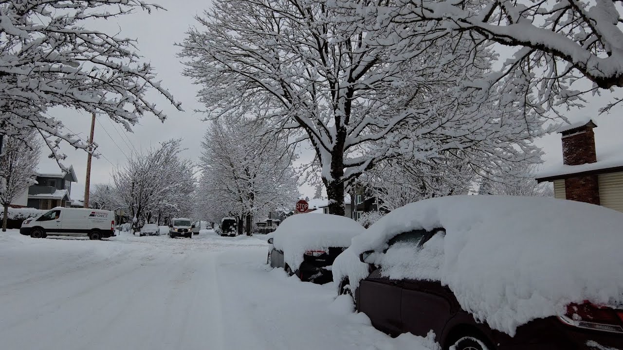❄️❄️❄️ Walking after Snow Storm: Extreme Winter Beauty in Canada with Nature Sounds