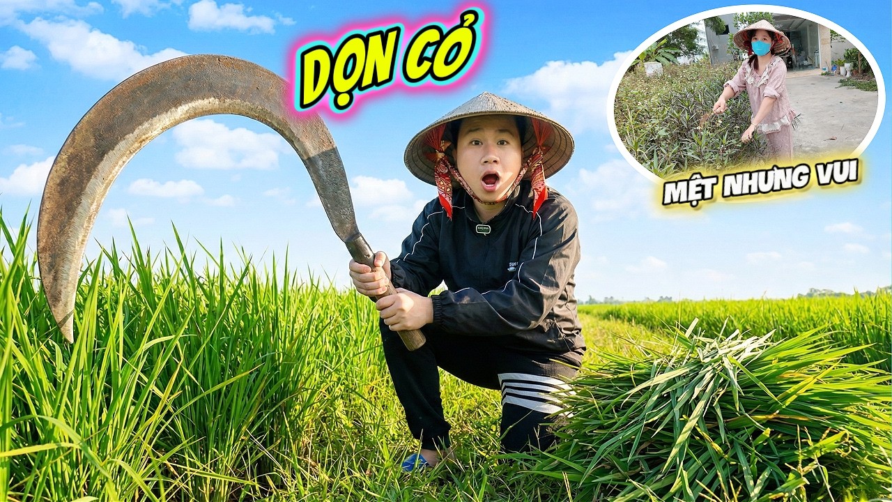 Bố Hoàng & Mẹ Huế Thử Làm Công Nhân Dọn Cỏ 1 Ngày – Mệt Nhưng Đầy Tiếng Cười ❤️