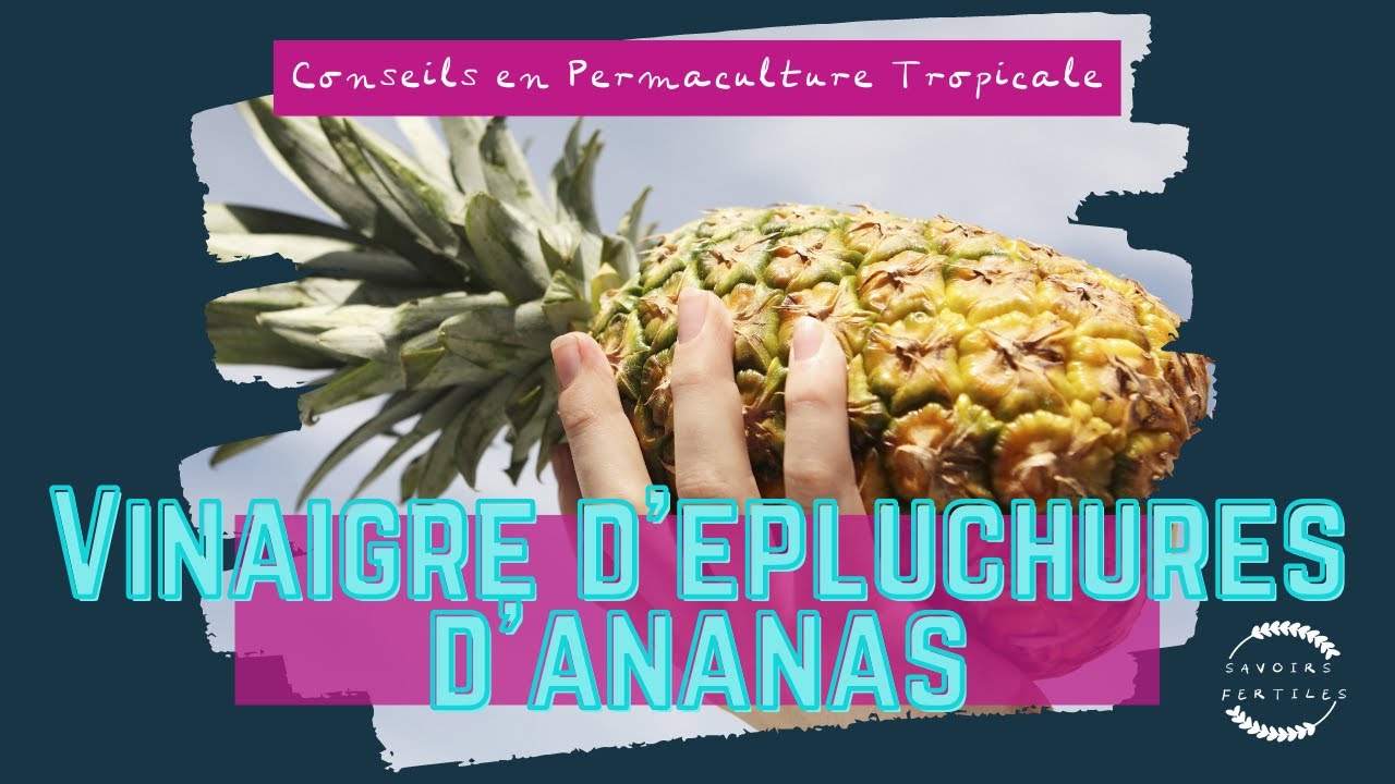 Comment Faire Du Vinaigre D Ananas Recette Zero Dechet Youtube