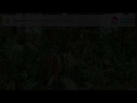 13046 E Shawnee Trail, Inverness, FL home video tour