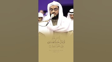 شيخ رعد محمد الكردي {{ سورة النمل }} #short